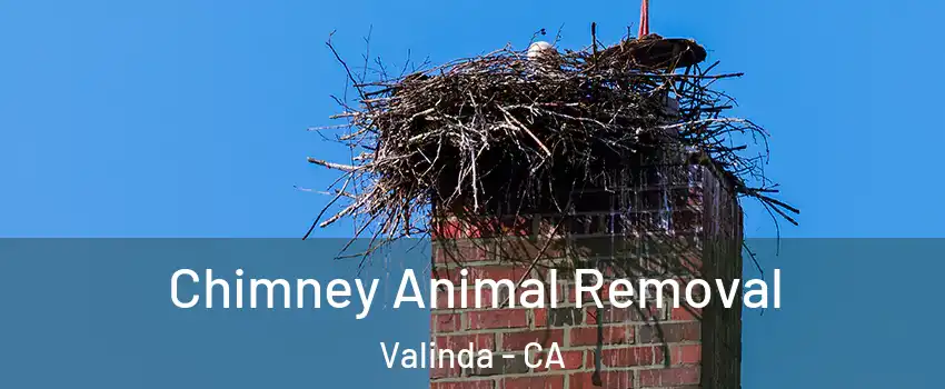 Chimney Animal Removal Valinda - CA