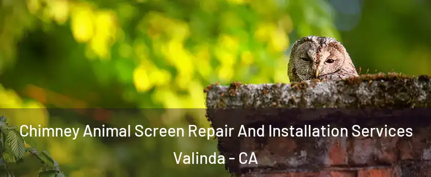  Chimney Animal Screen Repair And Installation Services Valinda - CA