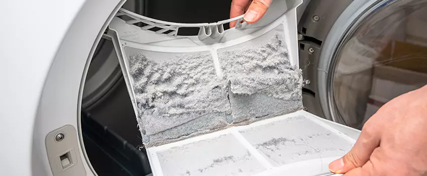 Best Dryer Lint Removal Company in Valinda, California