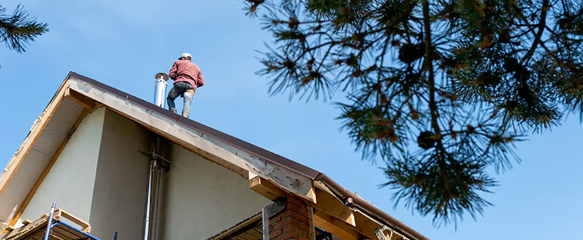 Birds Removal Contractors from Chimney in Valinda, CA