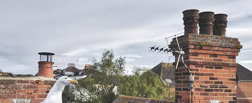 Chimney Cleaning And Restoration in Valinda, California